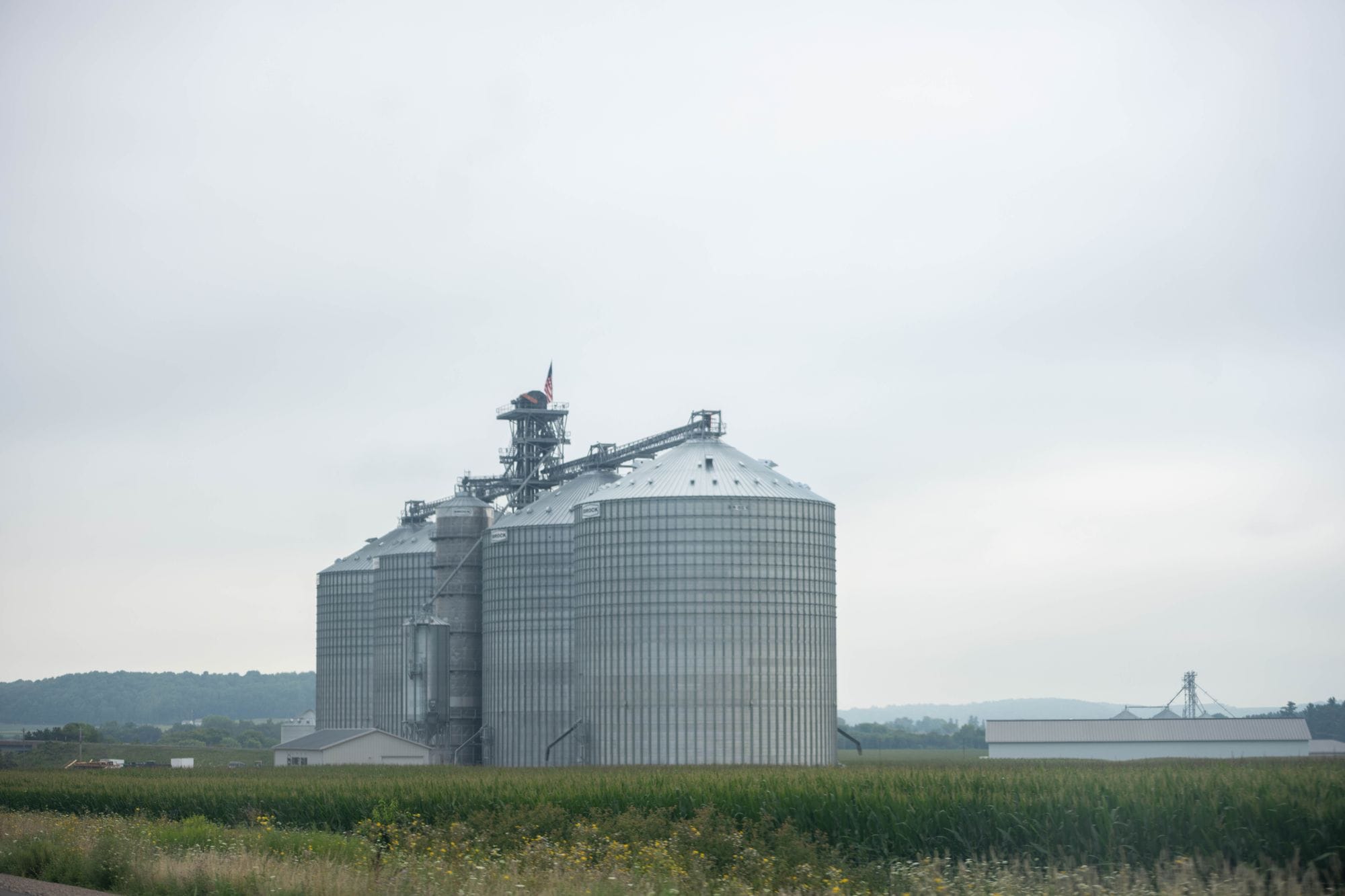 Grain silos standing tall in a rural Minnesota landscape under a cloudy sky.