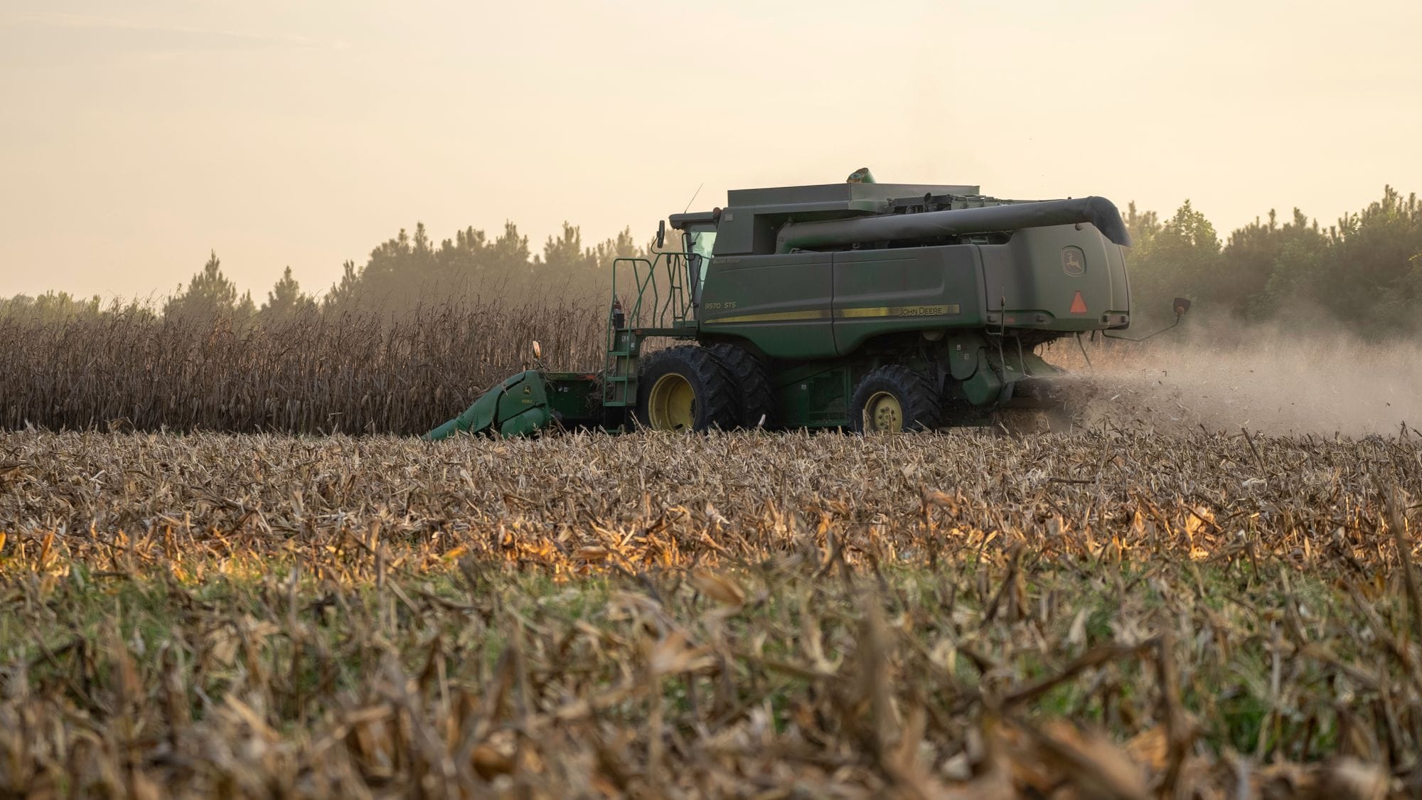 A combine harvester working through a cornfield during sunset in North Carolina.