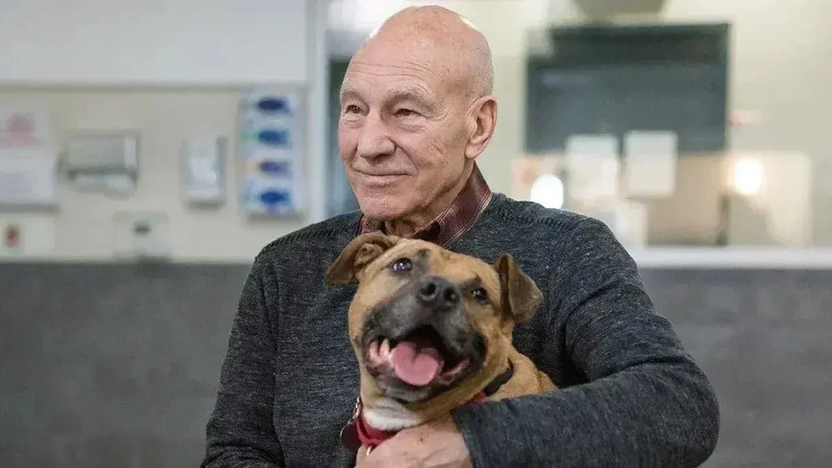 Imagen oficial de ASPCA