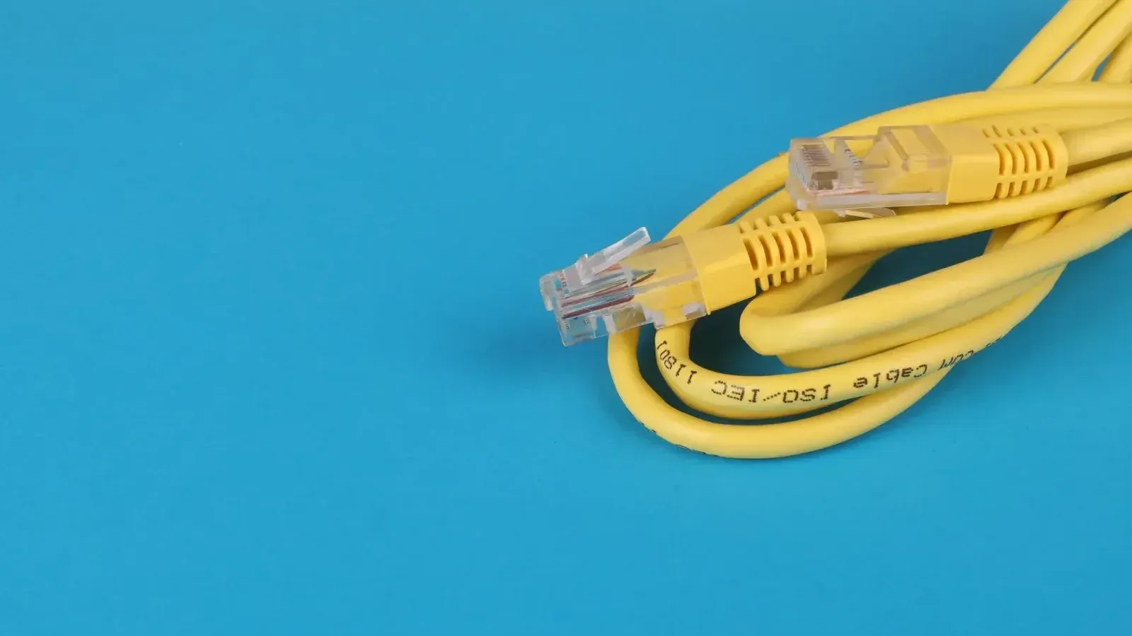 Close-up of a yellow Ethernet cable with connectors on a blue background.