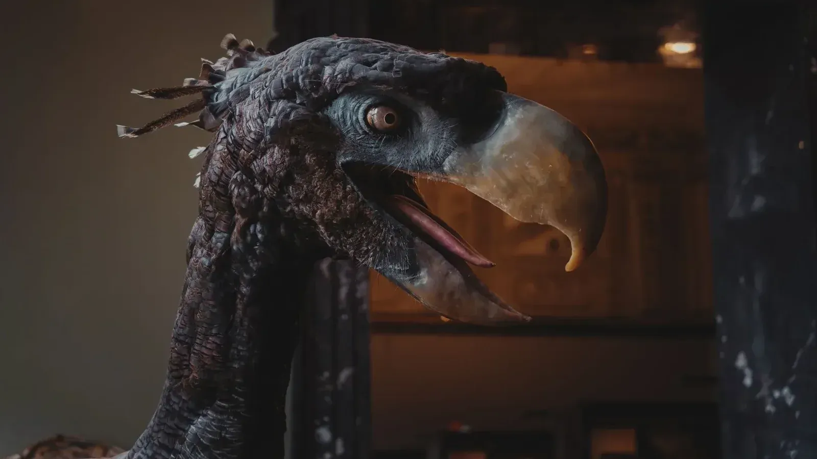 Vista detallada de una escultura de pájaro fósil exhibida en interiores en un museo de Viena.