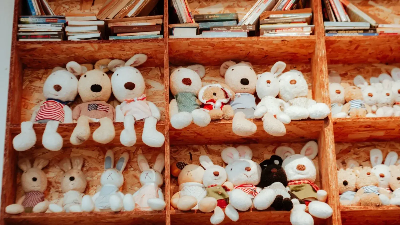 Estantes acogedores llenos de una adorable variedad de peluches y libros, perfectos para una decoración de habitación juguetona.