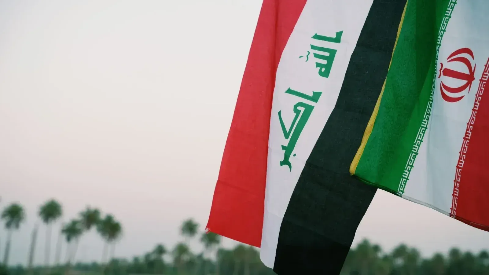 Iraqi and Iranian flags waving with palm trees in the background, Karbala, Iraq.
