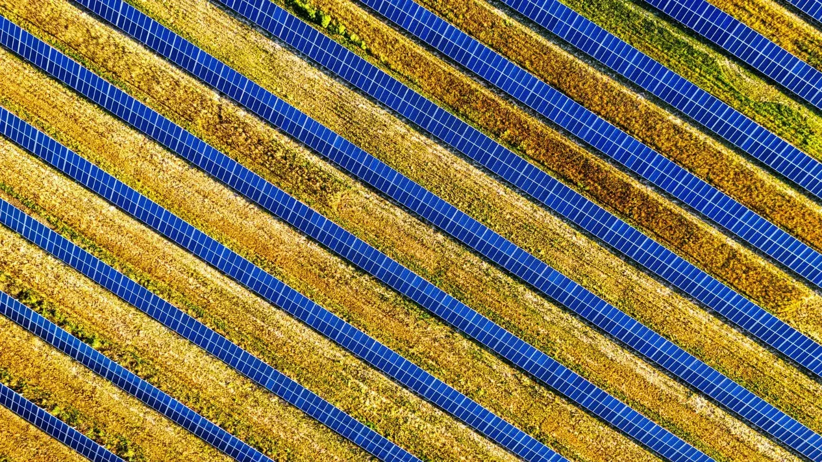 Disparo aéreo vibrante de paneles solares en un campo, mostrando energía renovable en Red Wing, MN.
