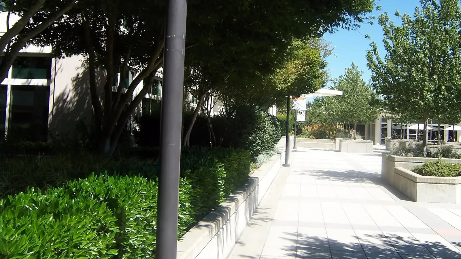 Una plaza entre edificios y pasarelas, en algún lugar del campus de Microsoft Redmond en julio de 2006.