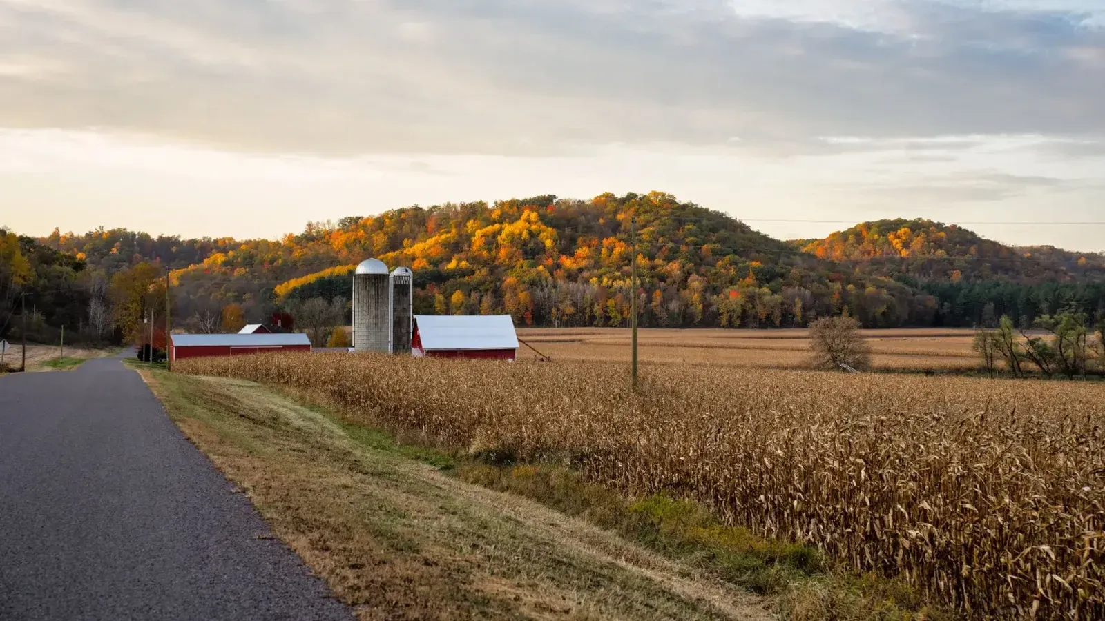 Vista pintoresca de una granja con silos y follaje de otoño en Ella, Wisconsin.