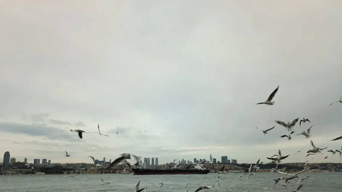 Una bandada de gaviotas volando sobre el Bósforo con el horizonte de Estambul en el fondo.
