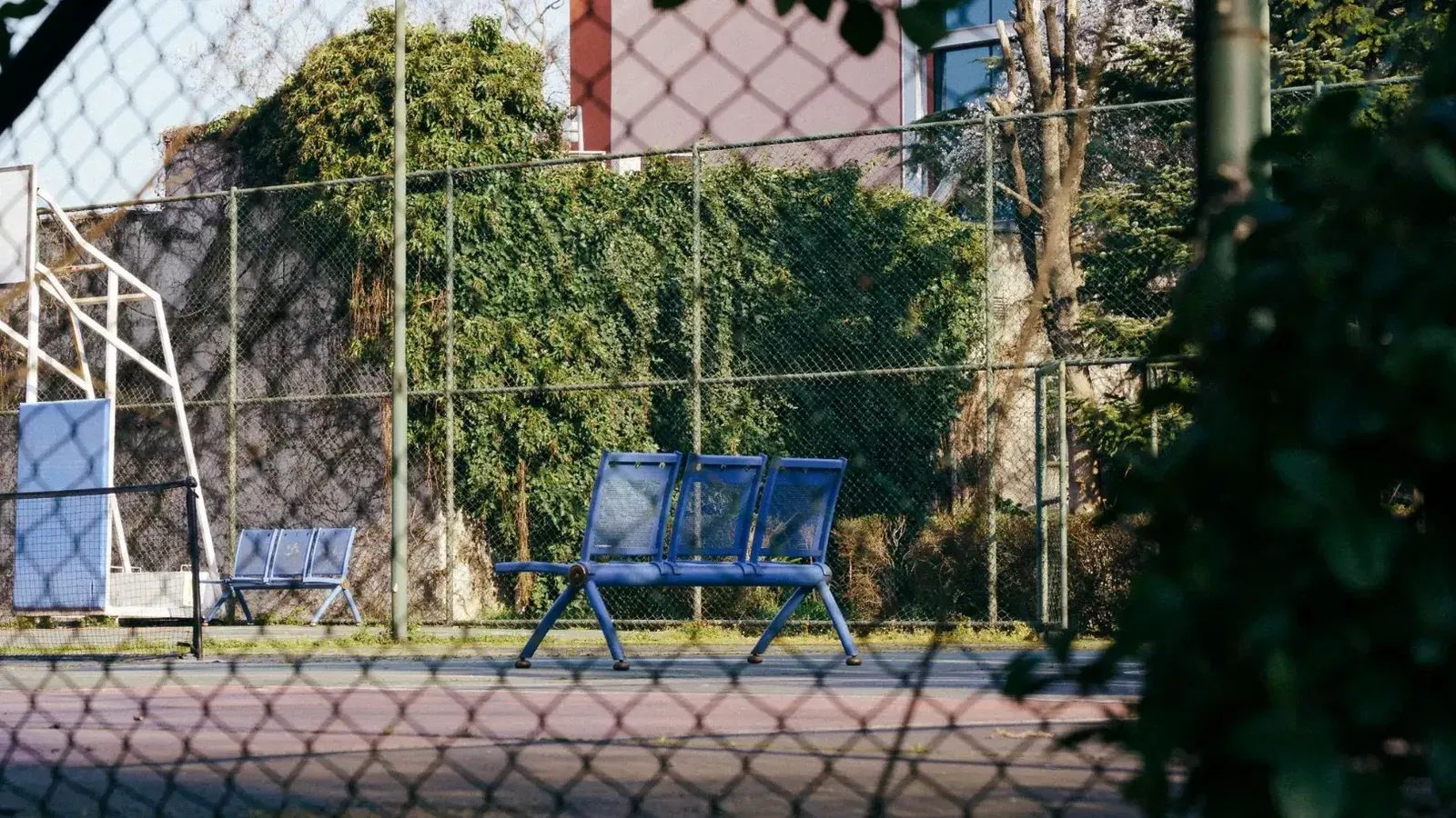 A serene view of an empty sports court with blue benches, surrounded by greenery and fencing.