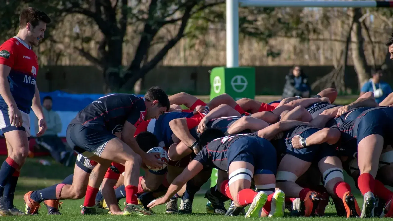 Intenso partido de rugby con jugadores involucrados en un scrum en Buenos Aires, Argentina.