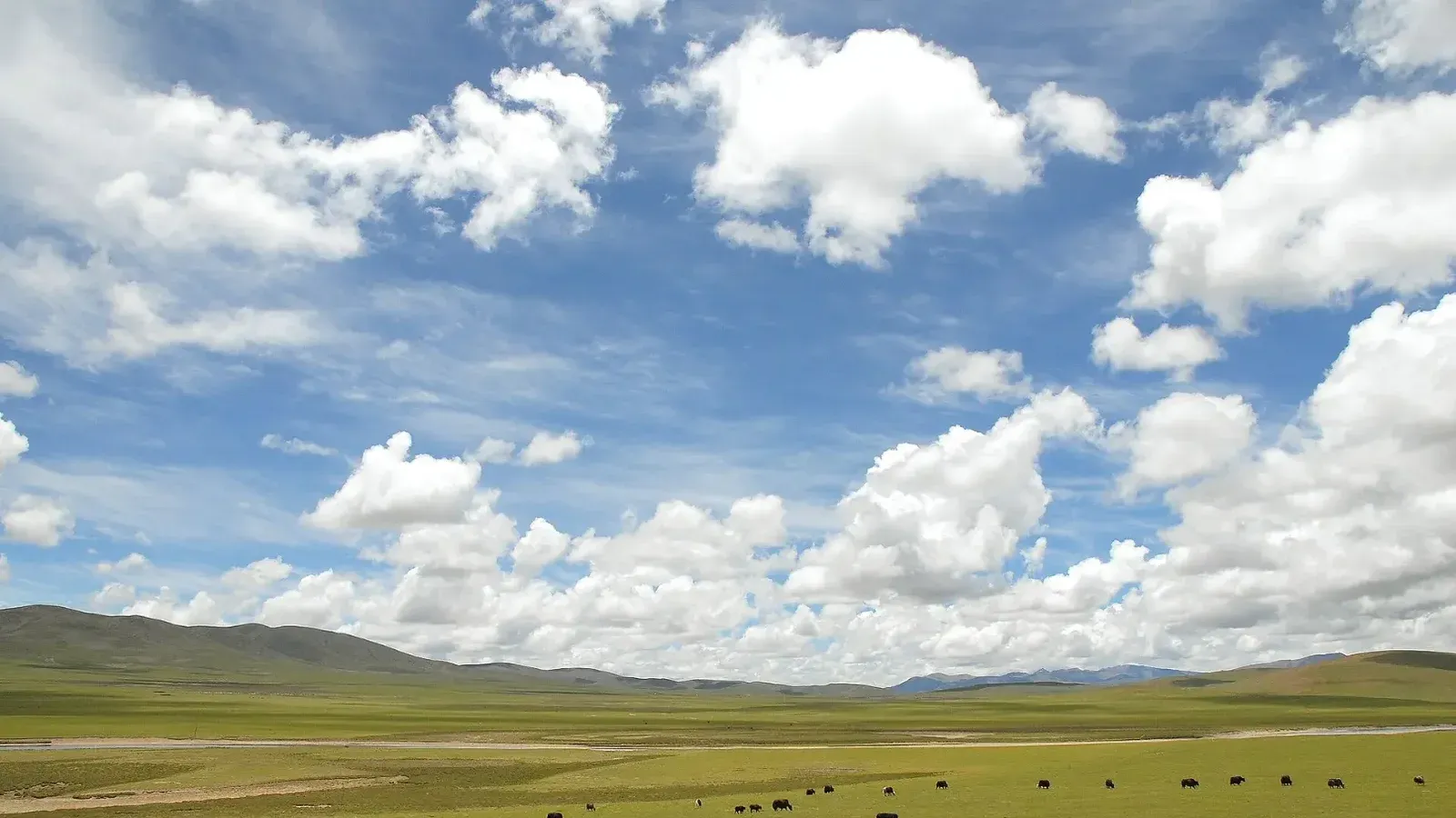 Nagqu County, Tibet