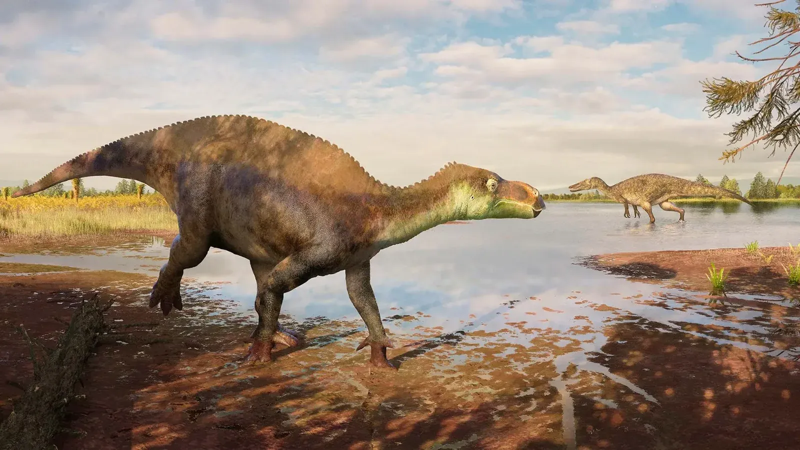 Una reconstrucción del dinosaurio iguanodonte Palodohadros Proudlovii caminando a través del barro a lo largo del borde de un cuerpo de agua poco profundo. A lo lejos, el gran dinosaurio