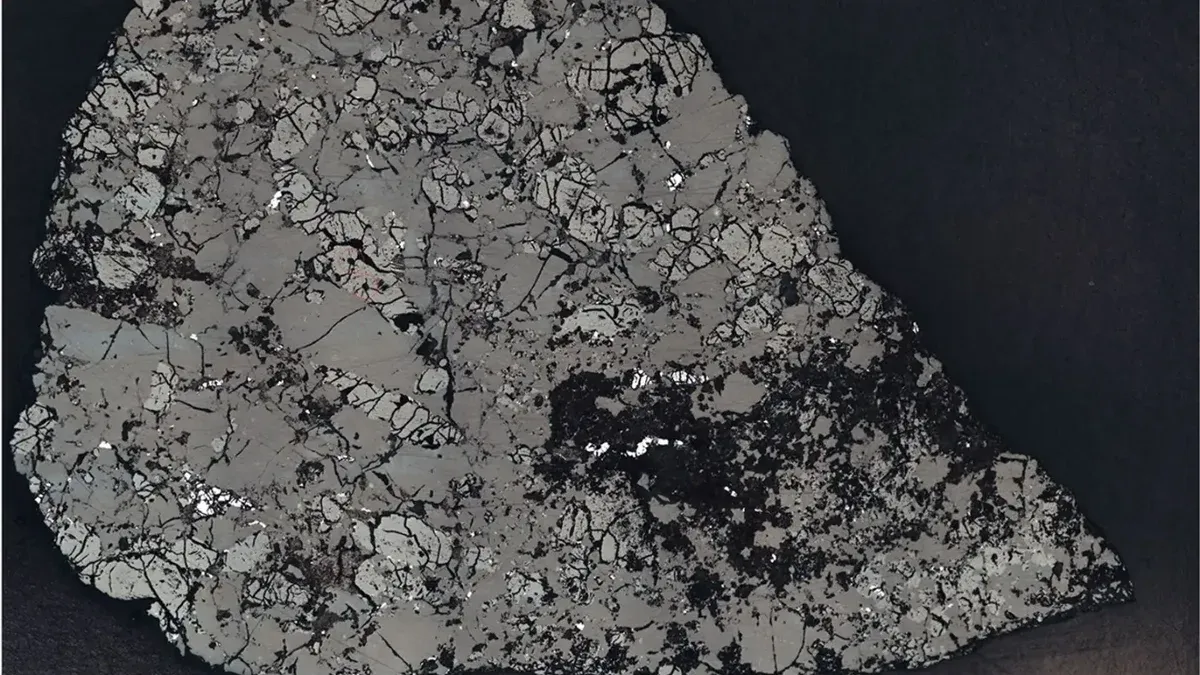 Una sección transversal microscópica de un espécimen de roca colocado sobre un fondo negro, que muestra una textura mineral muy fracturada, parecida a un mosaico en tonos de gris y negro