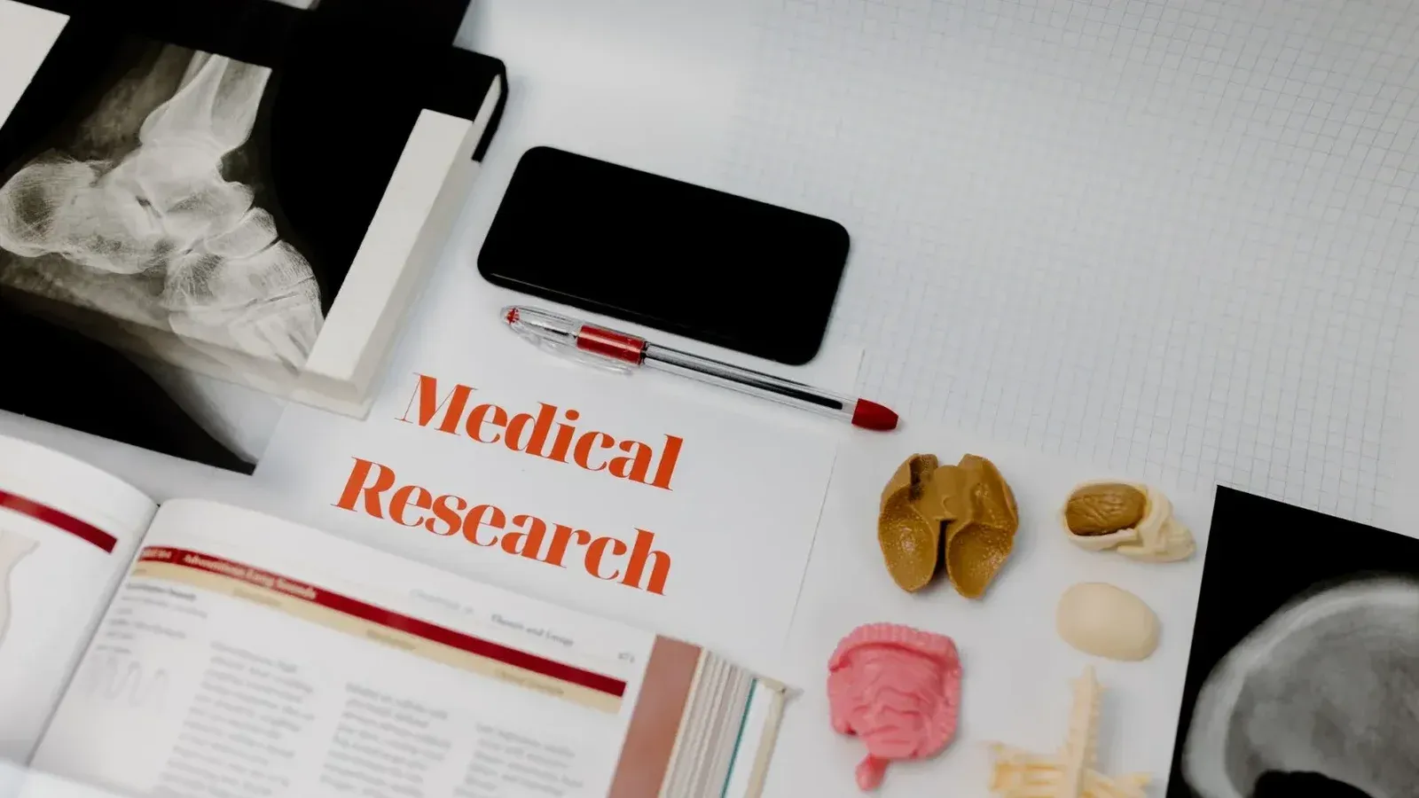Medical research setup featuring anatomical models, x-rays, and a textbook, ideal for educational purposes.