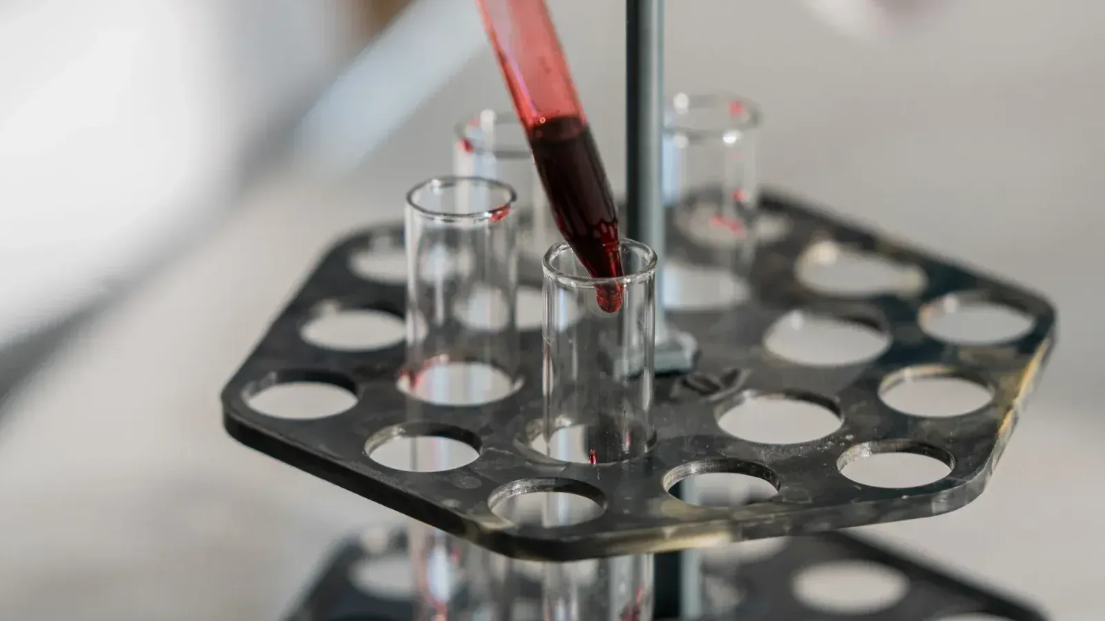 Red liquid being transferred into test tubes in a lab setting for research.