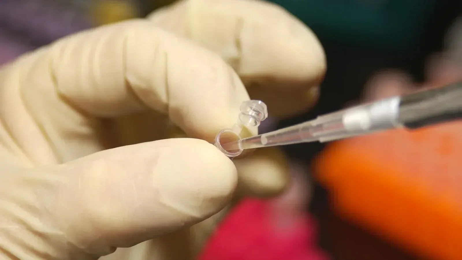 Un investigador de NHGRI utiliza una pipeta para eliminar el ADN de un micro tubo de ensayo.