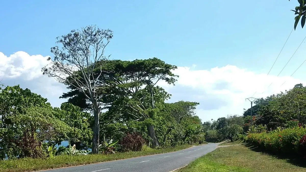 Camino a lo largo de la costa