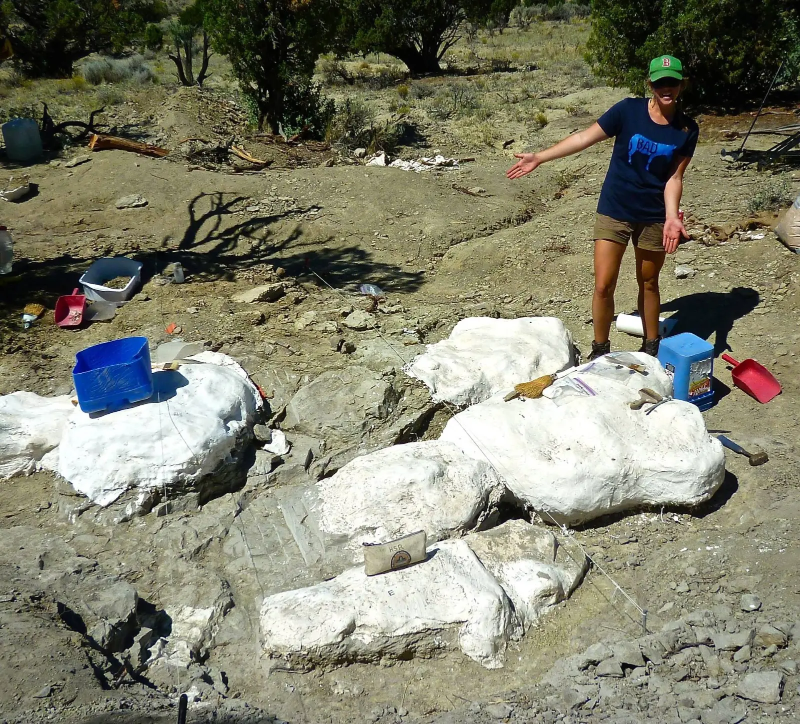 Una mujer con gorra verde señala varios bloques de fósiles envueltos en yeso blanco en una excavación al aire libre, rodeados de cubetas, recogedores rojos y herramientas.