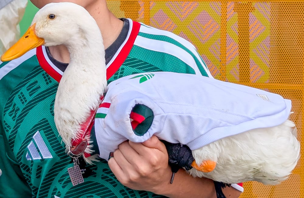 El Pato Merlín, de vender aguas a embajador de la FIFA: cuánto costó su registro y por qué no viajará a EE. UU. imagen del post