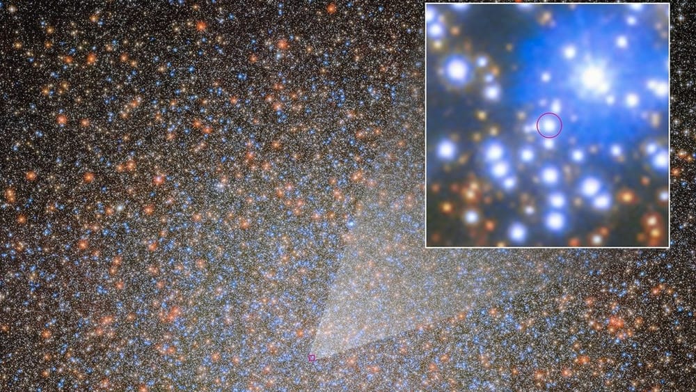 Hubble y Webb hallan el primer agujero negro estelar de Omega Centauri: 4.46 masas solares imagen del post