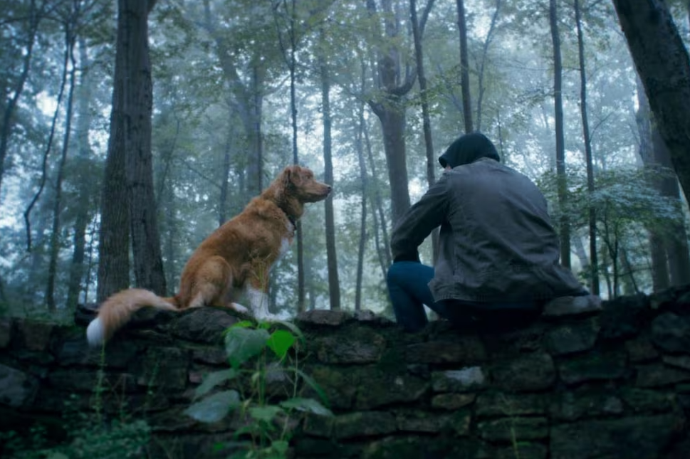 Good Boy llegó a Prime Video: la película de terror de 70 mil dólares que recaudó 8.7 millones imagen del post