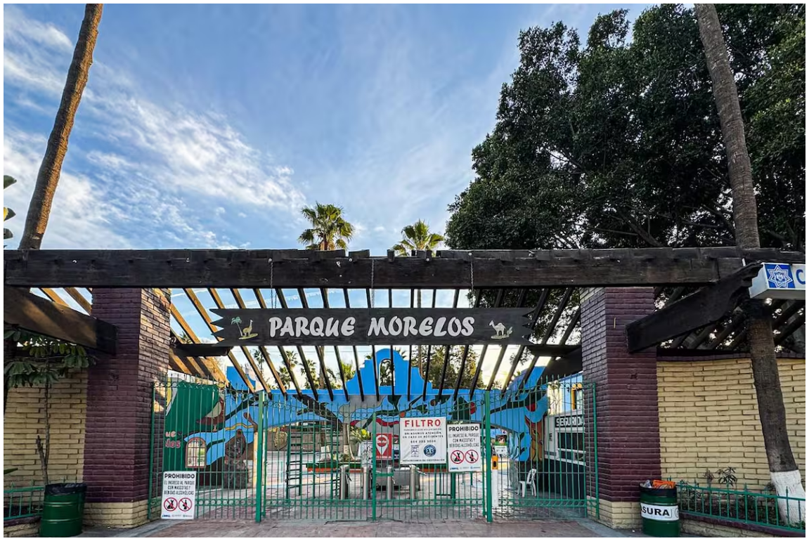 Tijuana pone fin al zoológico del Parque Morelos: reubicarán a sus animales tras la muerte de Mandy imagen del post