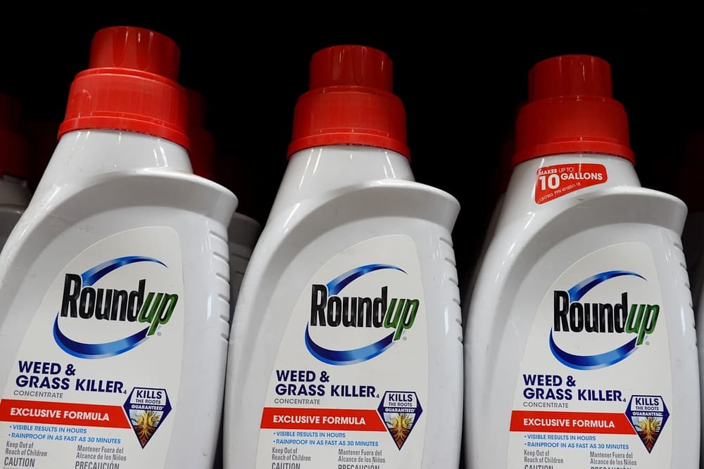 Las acciones de Bayer vuelan a máximos de tres años tras el fallo clave de Roundup en EE. UU. imagen del post
