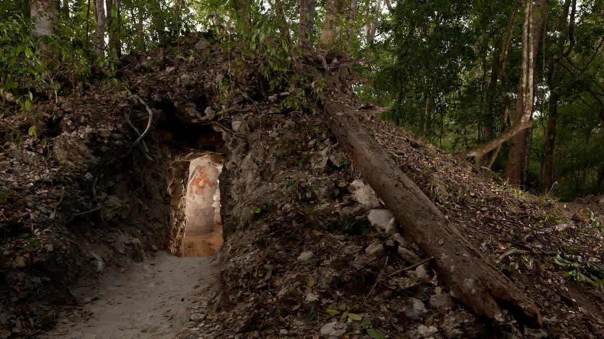 Por primera vez en la historia, arqueólogos identifican con nombre propio a un astrónomo y matemático maya imagen del post