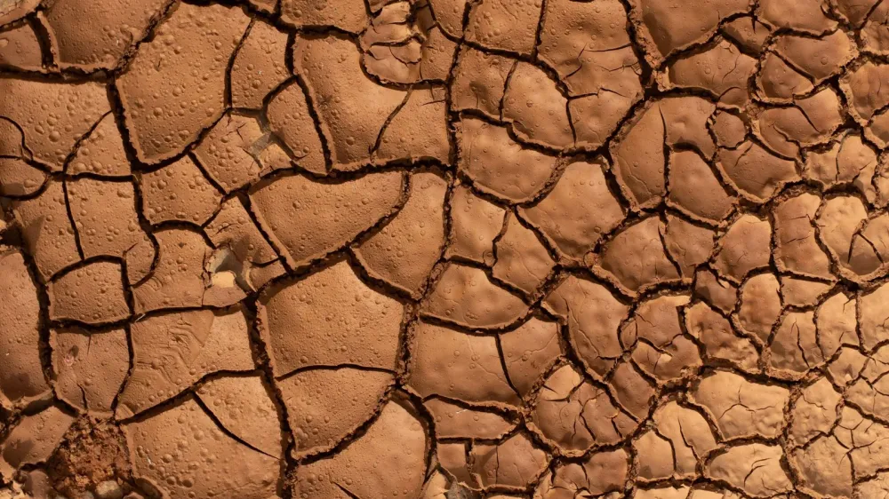 Curiosity buscaba terreno liso en Marte y halló el mayor campo de polígonos de la misión imagen del post