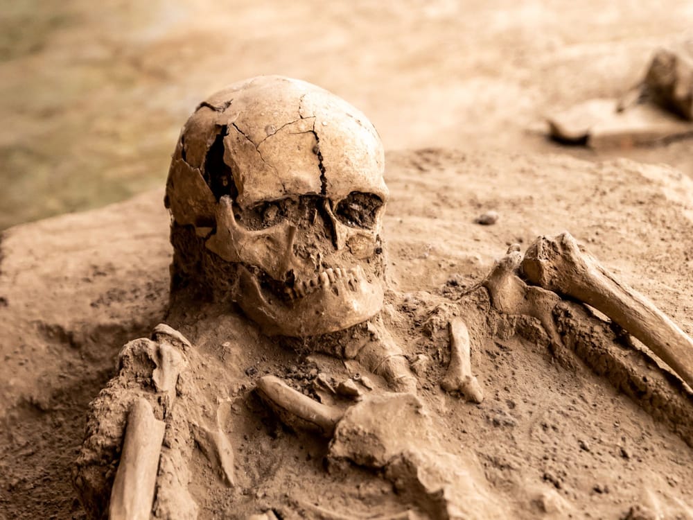 El canibalismo de Atapuerca no solo fue con niños: aparecen los adultos con marcas de corte imagen del post