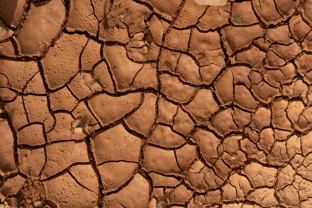 Curiosity buscaba terreno liso en Marte y halló el mayor campo de polígonos de la misión imagen del post