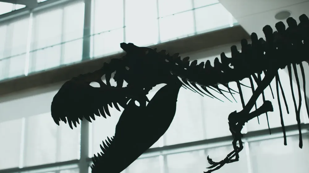 Un maestro halló el primer rastro atribuido a un T. rex adulto: caminaría como alguien con prisa imagen del post