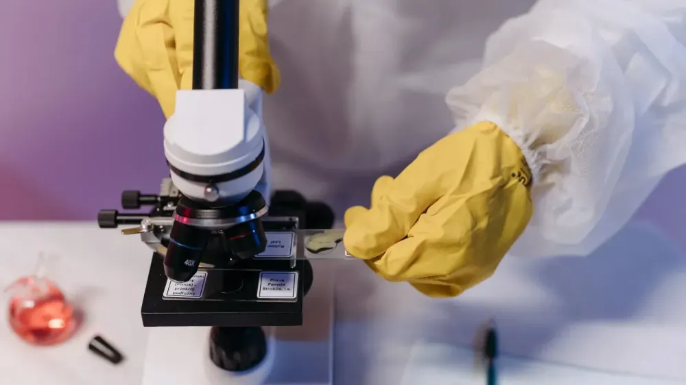 El covid persistente grave se asocia con diferencias bacterianas imagen del post