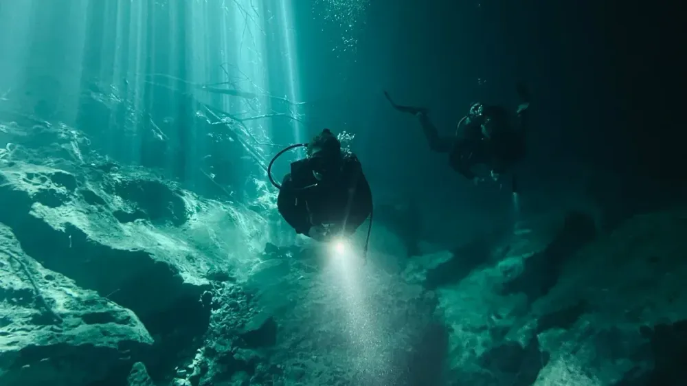 Feed the Deep llegará a consolas y Android en 2027 imagen del post