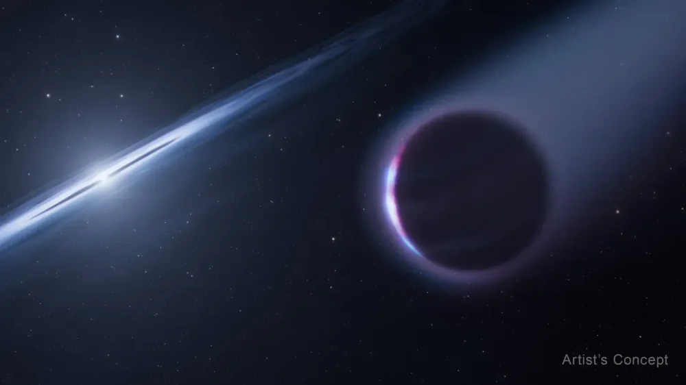 Hallan indicios de un planeta "fénix" nacido de una estrella muerta imagen del post