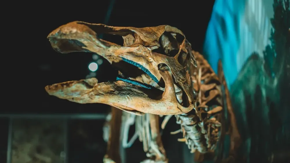 Norellraptor: un nuevo dinosaurio aporta pistas sobre los distintos orígenes del vuelo imagen del post