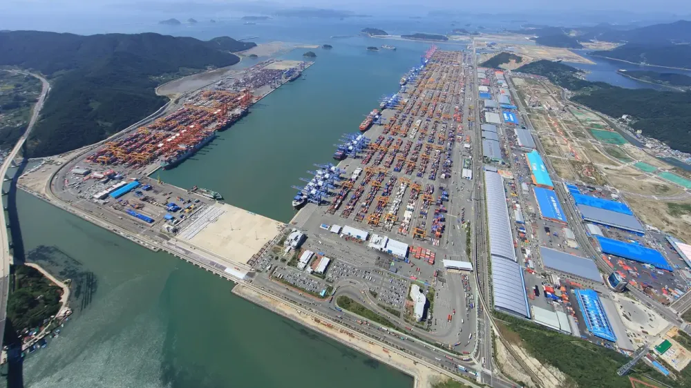 Tiburón de Busan cruza la red de rescate y vuelve al interior del canal imagen del post