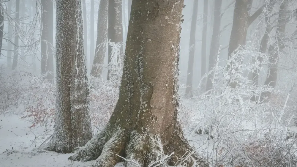 Winter Burrow llega a iOS y Android con modos de historia y desafío imagen del post