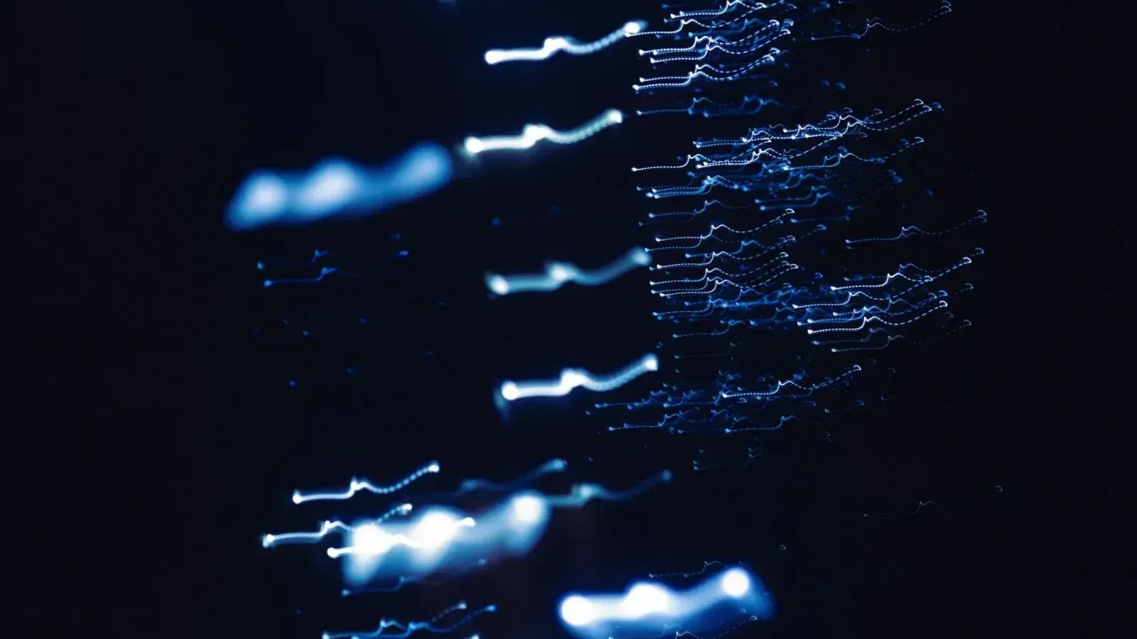 Dynamic abstract photograph of blue light patterns with a dark backdrop, creating a sense of motion and mystery.