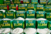 Precios del arroz en Asia alcanzan máximo de 14 meses por preocupaciones sobre las cosechas
