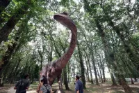 Terra Núblar abre en Lugo con 23 dinosaurios que llegaron rodeando África por Ormuz imagen del post