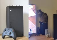 Convierte su Xbox Series X en 'arquitectura hostil' para que su gato no se suba imagen del post