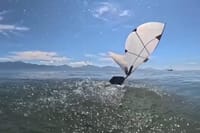Un robot del MIT nada bajo el agua y despega volando como las aves que bucean imagen del post