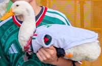 El Pato Merlín, de vender aguas a embajador de la FIFA: cuánto costó su registro y por qué no viajará a EE. UU. imagen del post
