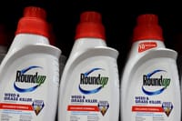 Acciones de Bayer alcanzan su máximo en tres años tras la mejora de calificación y la reestructuración de la unidad Roundup