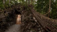 Arqueólogos descifran por primera vez el nombre de un astrónomo maya