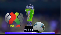 El modelo corporativo: ¿por qué la Liga MX decide adoptar las franquicias al puro estilo de la MLS? imagen del post