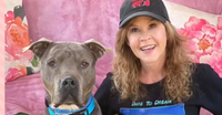 Linda Blair protagonista de El Exorcista es investigada por un refugio con más de 100 perros imagen del post