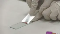 Scientist in gloves preparing a glass slide with a sample for microscopic analysis.
