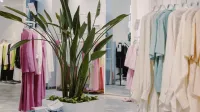Bright and airy boutique featuring pastel garments and a lush green plant centerpiece.