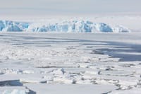 A breathtaking view of a frozen sea with icebergs and snow-covered surfaces, showcasing winter's chill.